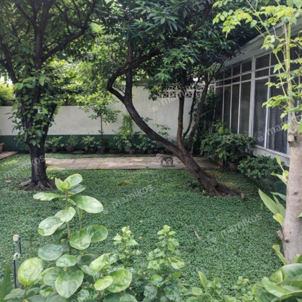 Rumah Sertifikat SHM 4 Kamar Tidur 1 Kamar Mandi Manggarai Jakarta Selatan - Photo 3