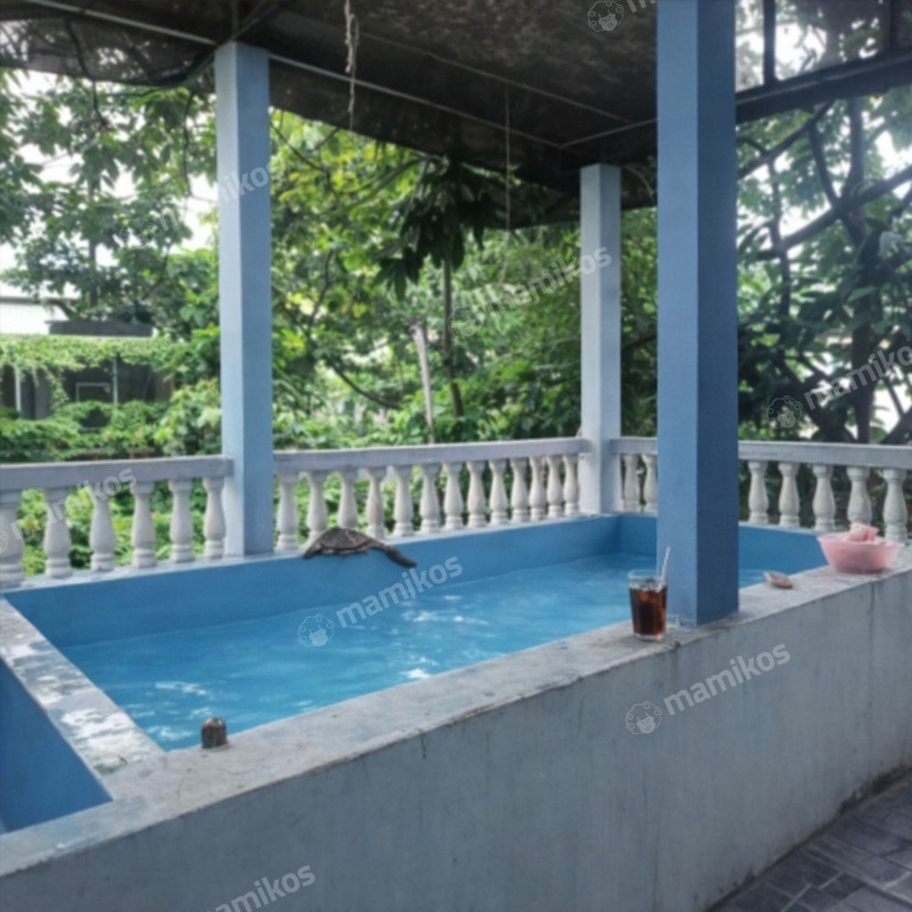 Rumah 5 Kamar Tidur 3 Kamar Mandi 2 Lantai Kebon Jeruk Jakarta Barat - Photo 2