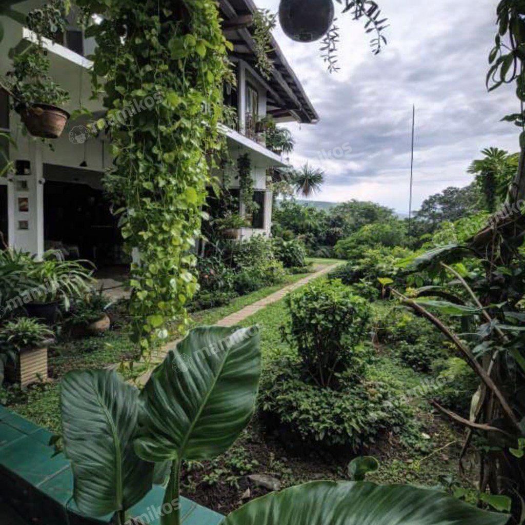 Rumah Sertifikat SHM 5 Kamar Tidur 5 Kamar Mandi Ragunan Jakarta Selatan - Photo 2
