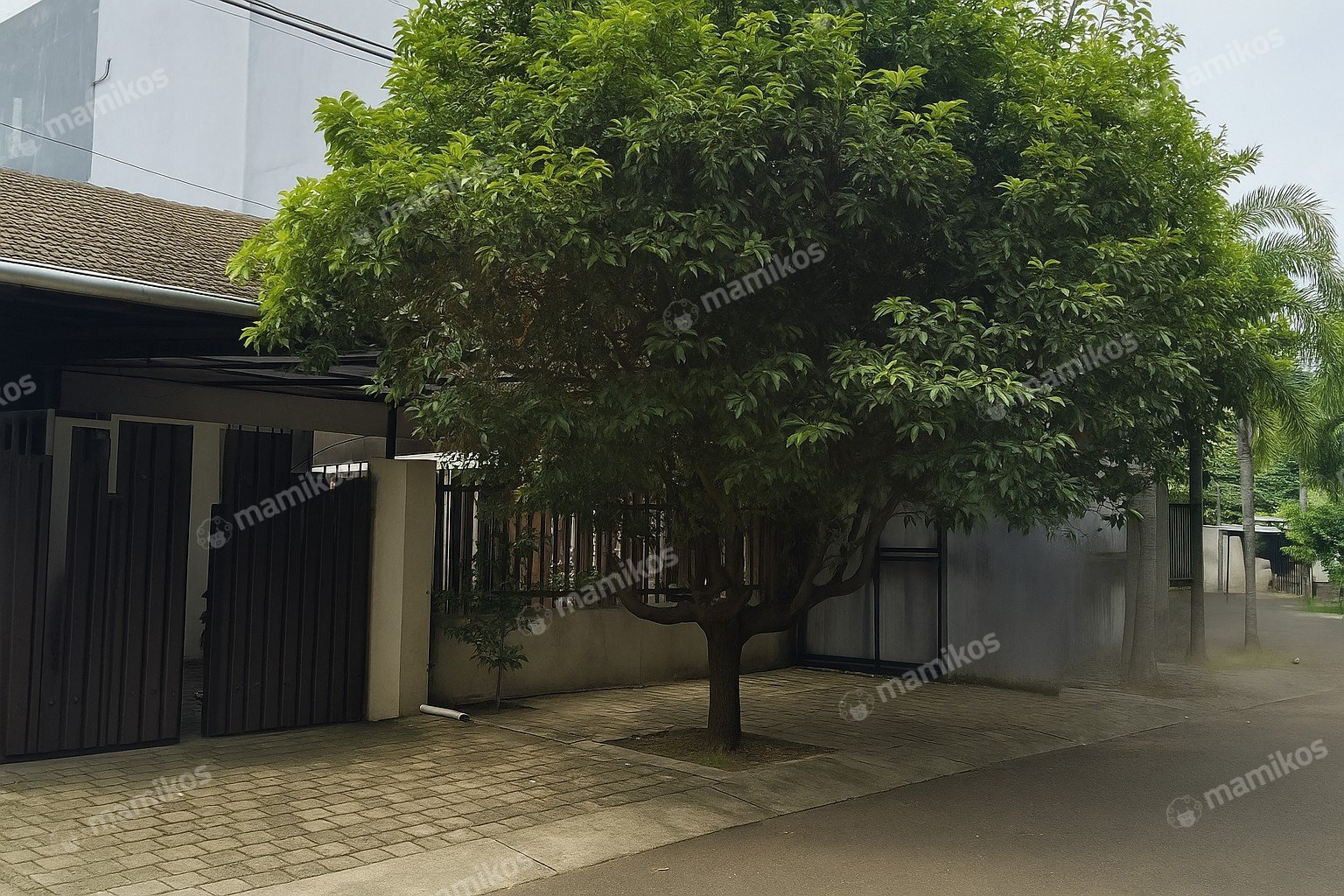 Rumah Sertifikat SHM 3 Kamar Tidur 2 Kamar Mandi Senopati Jakarta Selatan