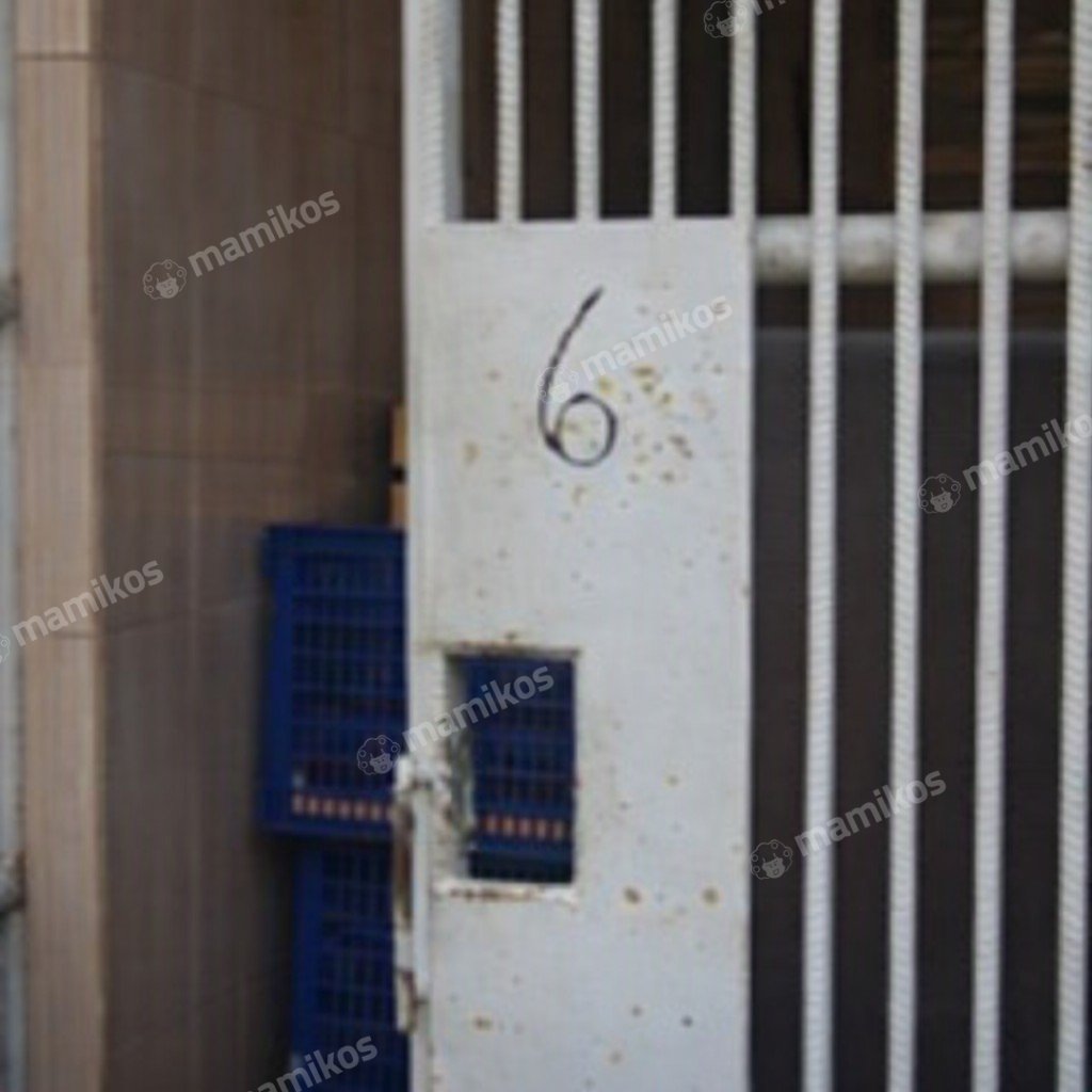 Rumah Sertifikat SHM 3 Kamar Tidur 2 Kamar Mandi Pluit Jakarta Utara - Photo 5