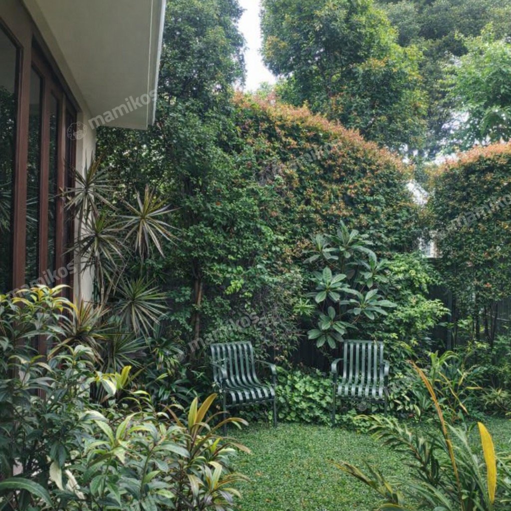 Rumah Sertifikat SHM 3 Kamar Tidur 3 Kamar Mandi Senopati Jakarta Selatan - Photo 4