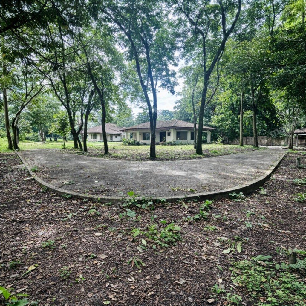 Rumah Sertifikat HGB 1 Lantai Pancoran Jakarta Selatan - Photo 3