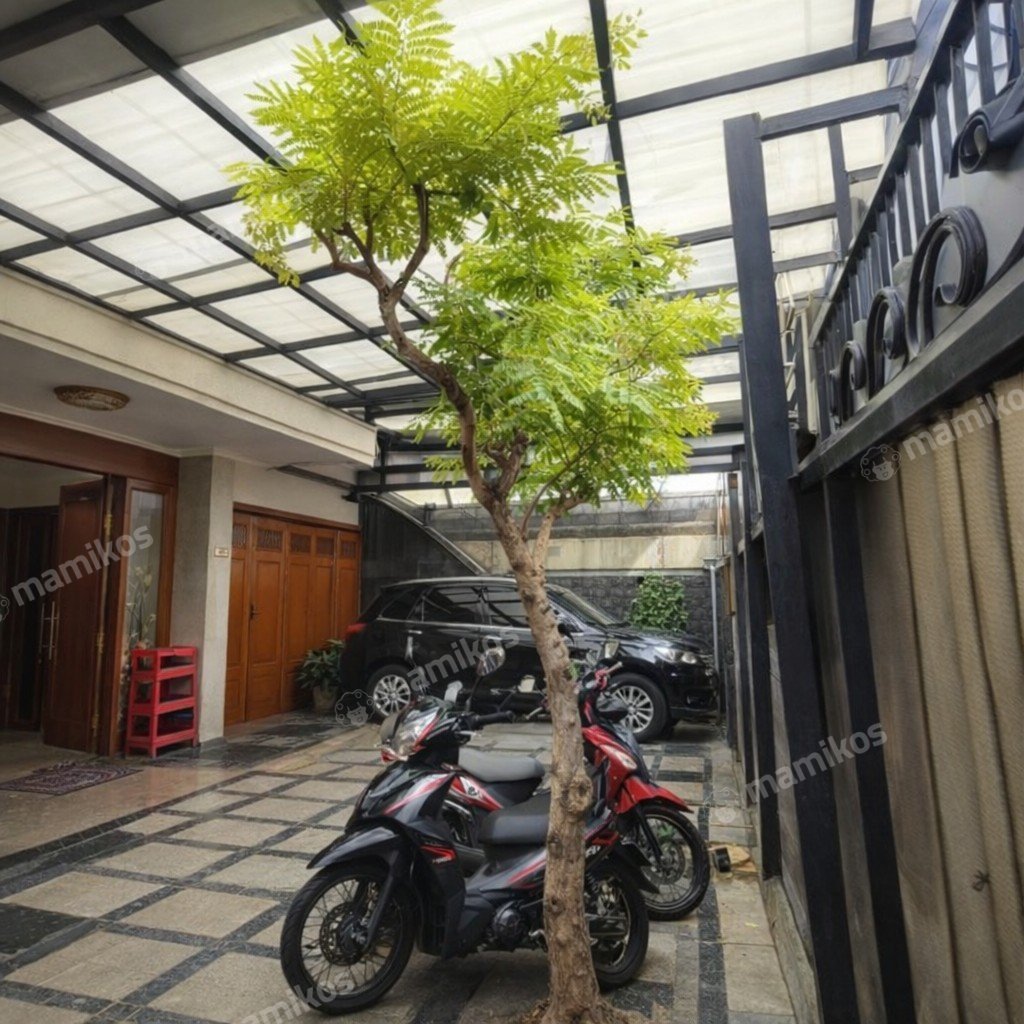 Rumah Sertifikat SHM 5 Kamar Tidur 4 Kamar Mandi Meruya Jakarta Barat - Photo 5