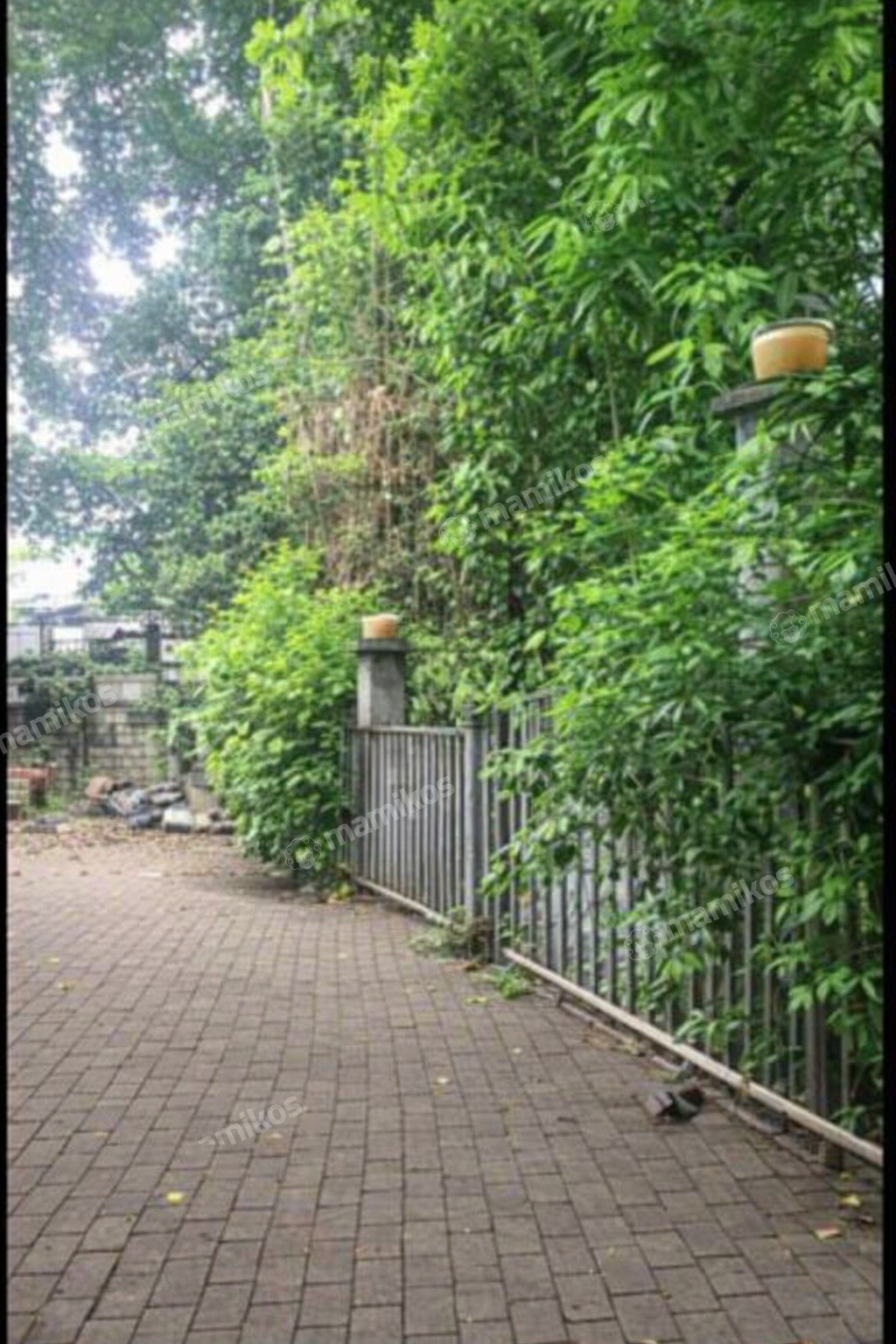 Rumah Sertifikat SHM 5 Kamar Tidur 5 Kamar Mandi Duren Tiga Jakarta Selatan - Photo 3