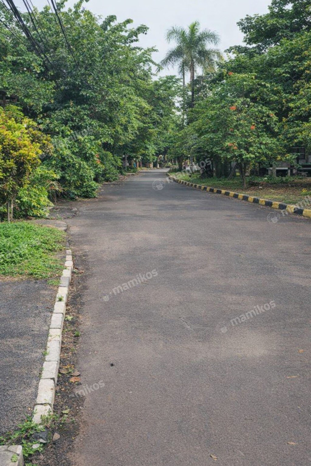 Rumah 1 Lantai Kedoya Jakarta Barat - Photo 4