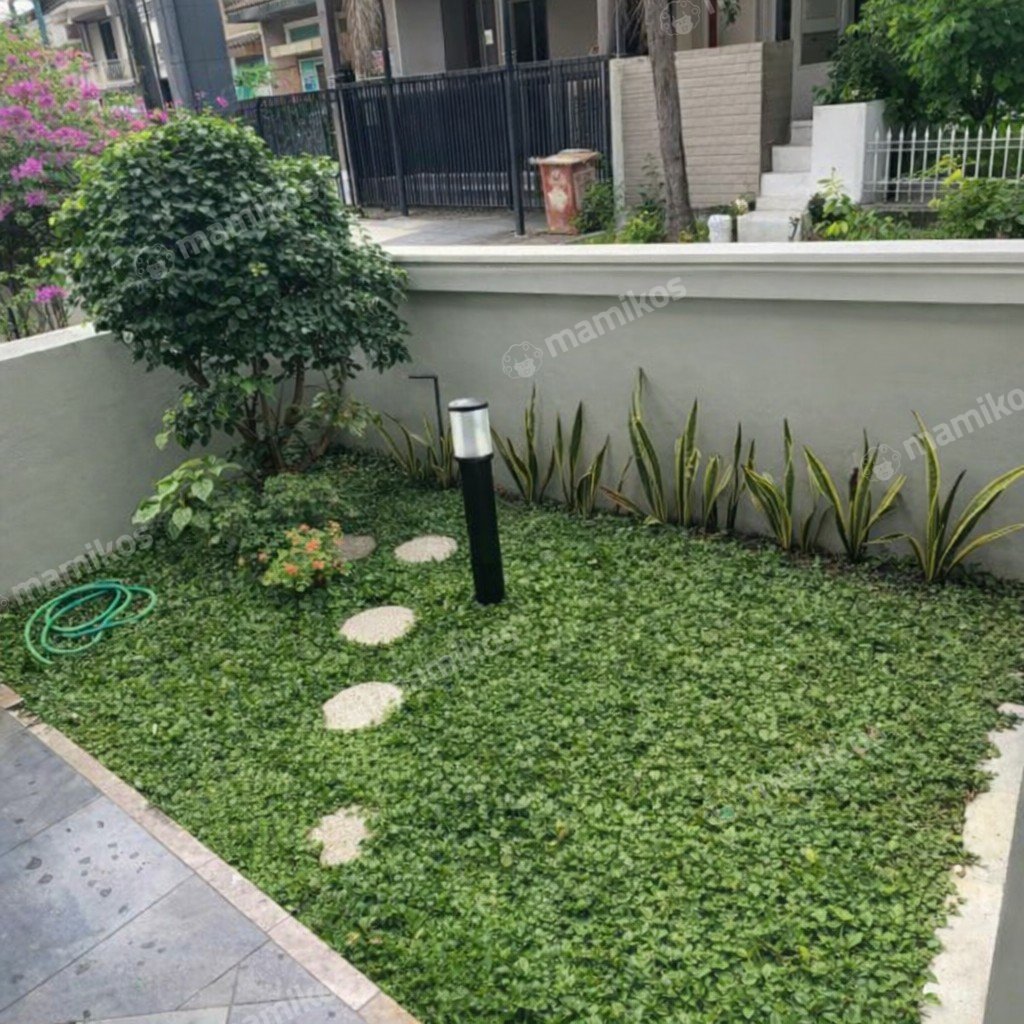 Rumah Sertifikat SHM 4 Kamar Tidur 3 Kamar Mandi Kebon Jeruk Jakarta Barat - Photo 3