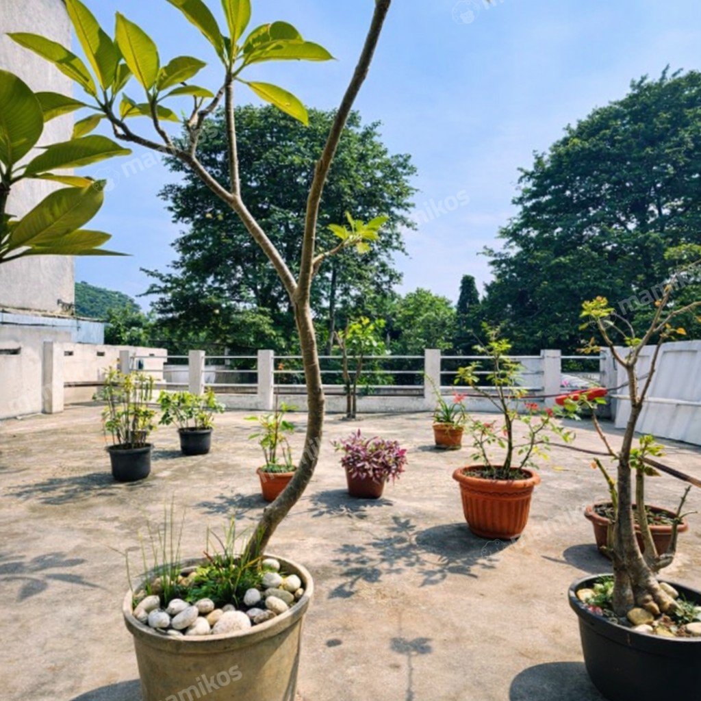 Rumah Sertifikat SHM 5 Kamar Tidur 3 Kamar Mandi Lebak Bulus Jakarta Selatan - Photo 4