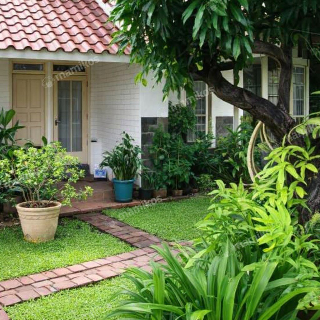 Rumah 3KT 3KM Cipete Jakarta Selatan - Photo 5