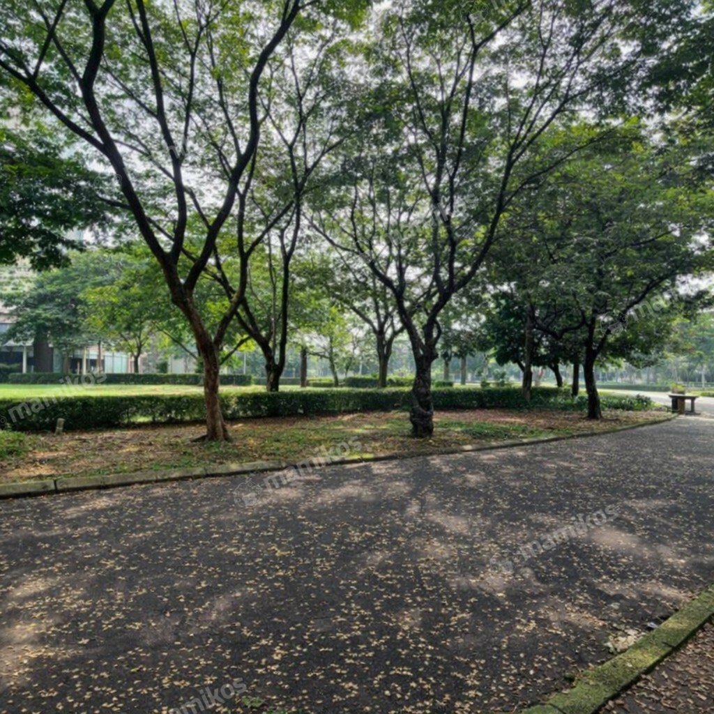 Rumah Sertifikat SHM 5 Kamar Tidur 4 Kamar Mandi Bintaro Jakarta Selatan - Photo 2