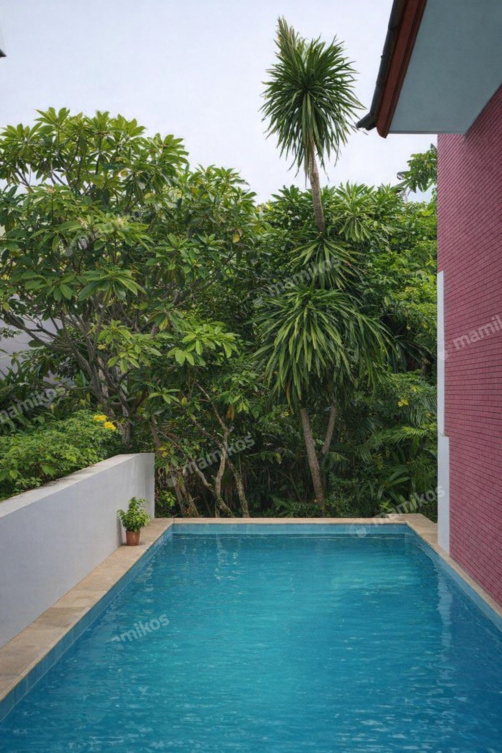 Rumah Sertifikat SHM 4 Kamar Tidur 3 Kamar Mandi Jati Padang Jakarta Selatan - Photo 3