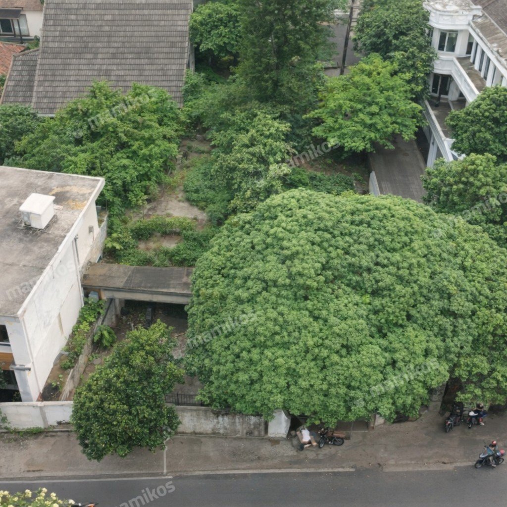 Rumah Sertifikat SHM 1 Lantai Mampang Prapatan Jakarta Selatan - Photo 5