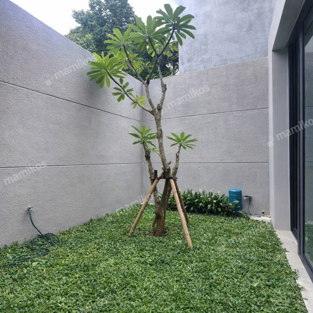 Rumah Baru Sertifikat SHM 3 Kamar Tidur Kebayoran Baru Jakarta Selatan - Photo 5