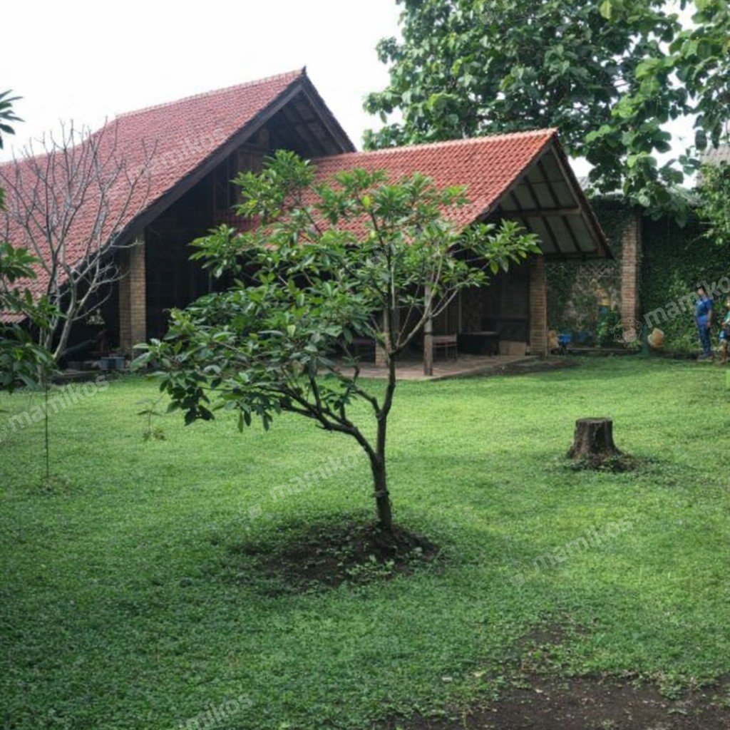 Rumah Sertifikat SHM 5 Kamar Tidur 5 Kamar Mandi Ciganjur Jakarta Selatan - Photo 2