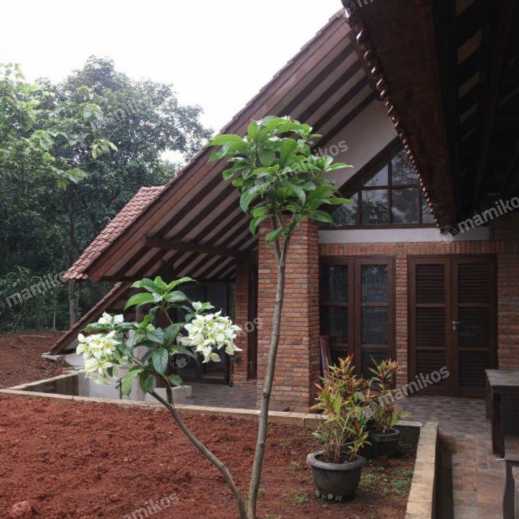 Rumah Sertifikat SHM 5 Kamar Tidur 5 Kamar Mandi Ciganjur Jakarta Selatan - Photo 3