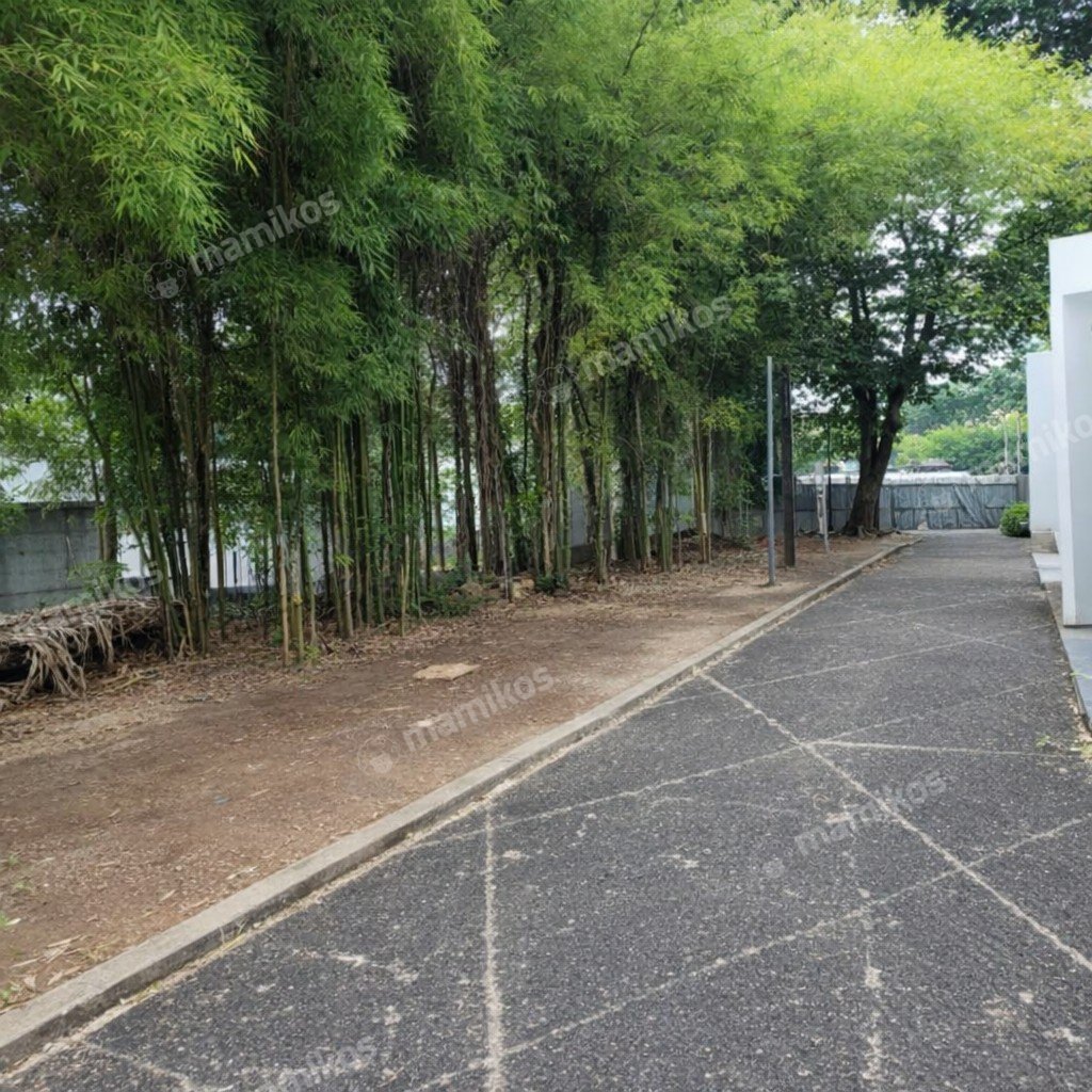 Rumah Sertifikat SHM 6 Kamar Tidur 4 Kamar Mandi Kebayoran Baru Jakarta Selatan - Photo 2