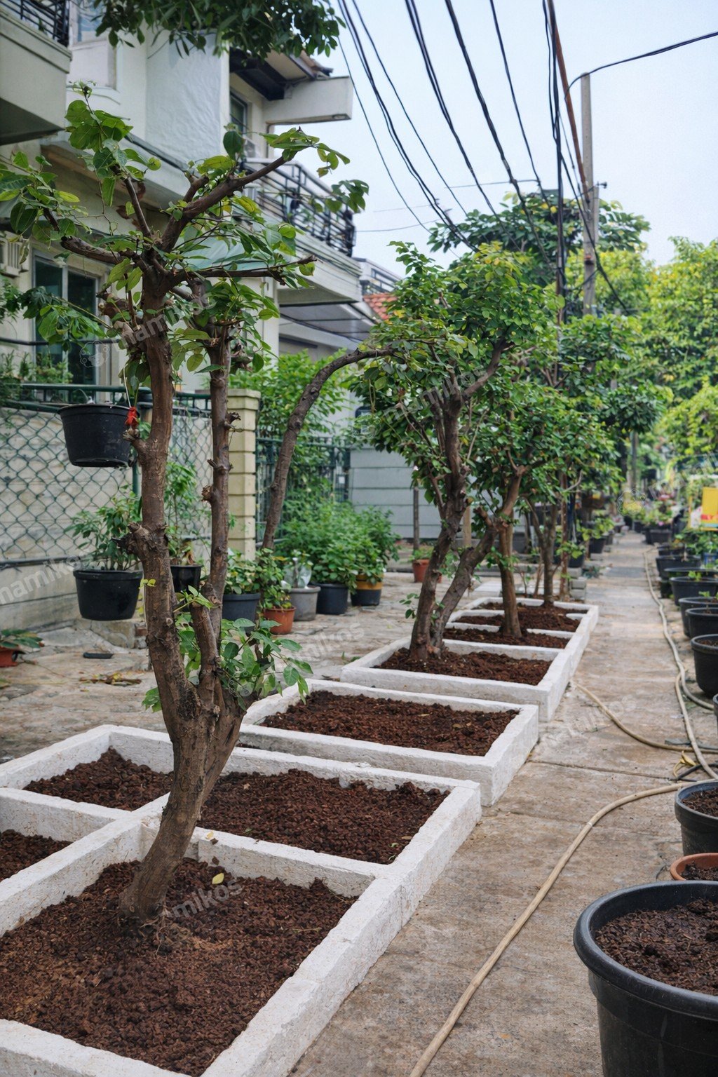 Rumah Sertifikat SHM 5 Kamar Tidur 2 Kamar Mandi Kedoya Jakarta Barat - Photo 5