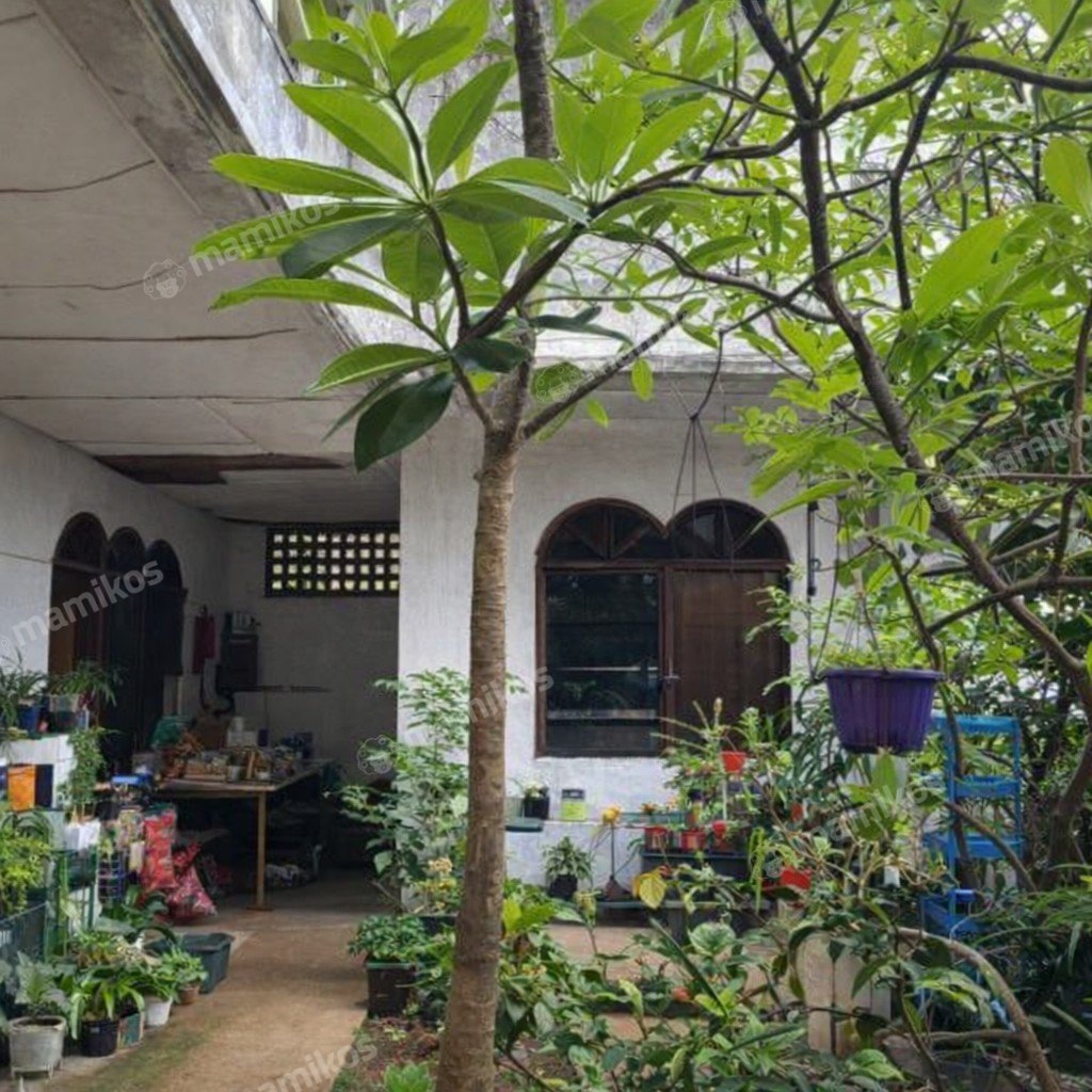 Rumah Sertifikat SHM 8 Kamar Tidur 8 Kamar Mandi Kebayoran Lama Jakarta Selatan - Photo 2