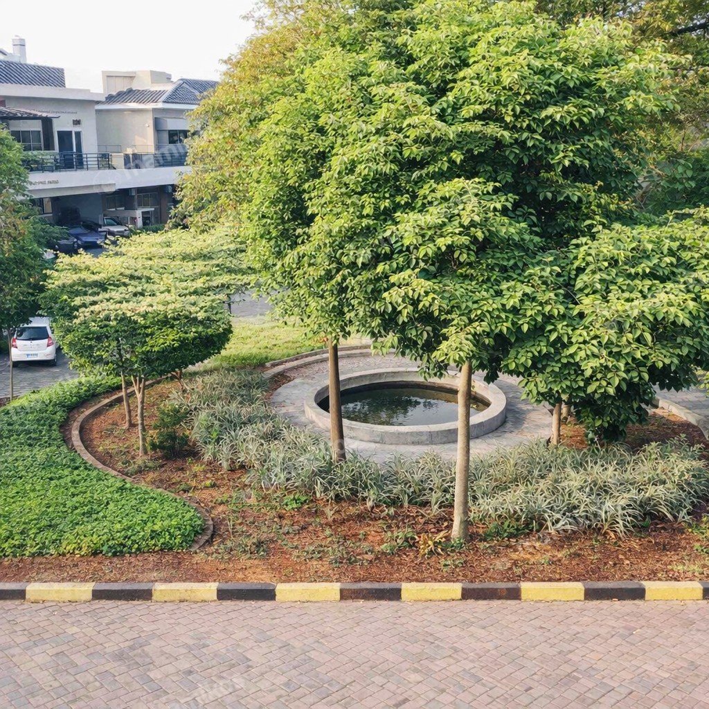 Rumah Sertifikat SHM 1 Lantai Cengkareng Jakarta Barat - Photo 4