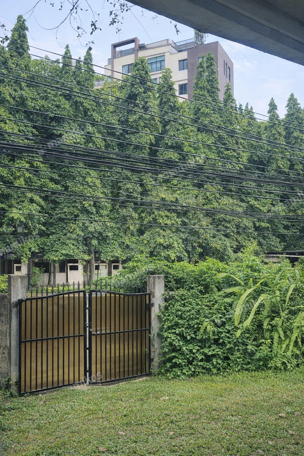 Rumah Sertifikat SHM 5 Kamar Tidur 2 Kamar Mandi Terogong Jakarta Selatan - Photo 2
