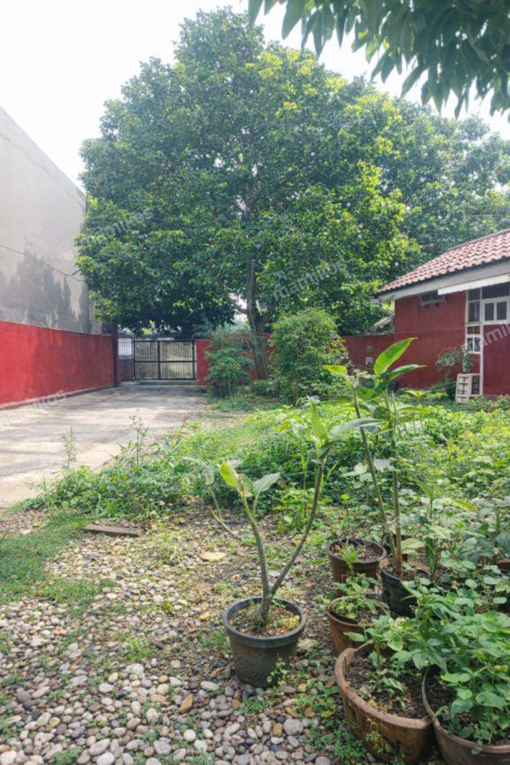 Rumah Sertifikat SHM 3 Kamar Tidur 2 Kamar Mandi Ciracas Jakarta Timur - Photo 5
