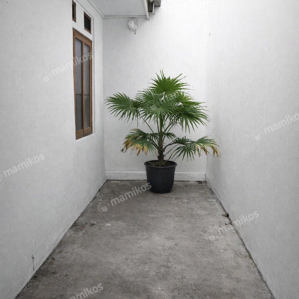 Rumah Sertifikat SHM 6 Kamar Tidur 3 Kamar Mandi Lebak Bulus Jakarta Selatan - Photo 3