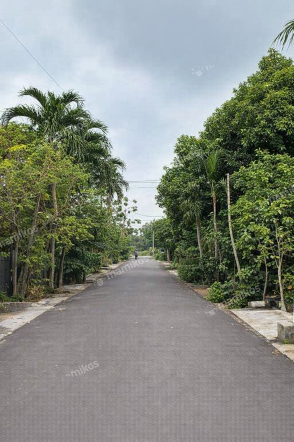 Rumah 3 Kamar Tidur 2 Kamar Mandi 1 Lantai Bojong Indah Jakarta Barat - Photo 2