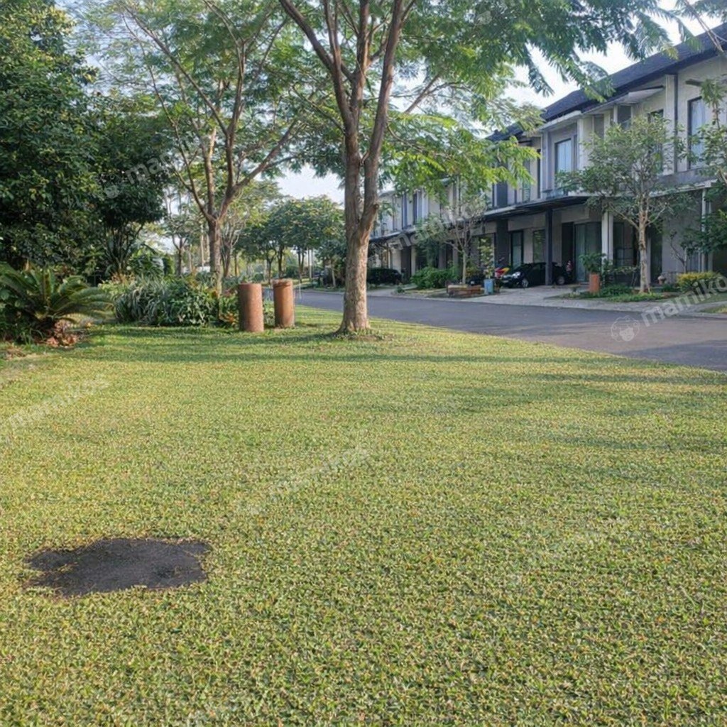 Rumah Sertifikat SHM 4 Kamar Tidur 2 Kamar Mandi Cirendeu Jakarta Selatan - Photo 5