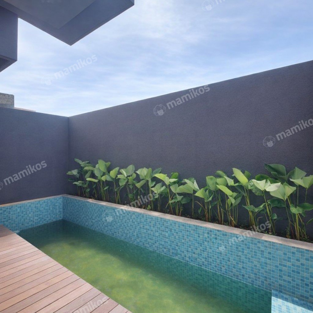 Rumah Sertifikat SHM 5 Kamar Tidur 5 Kamar Mandi Kemang Jakarta Selatan - Photo 3