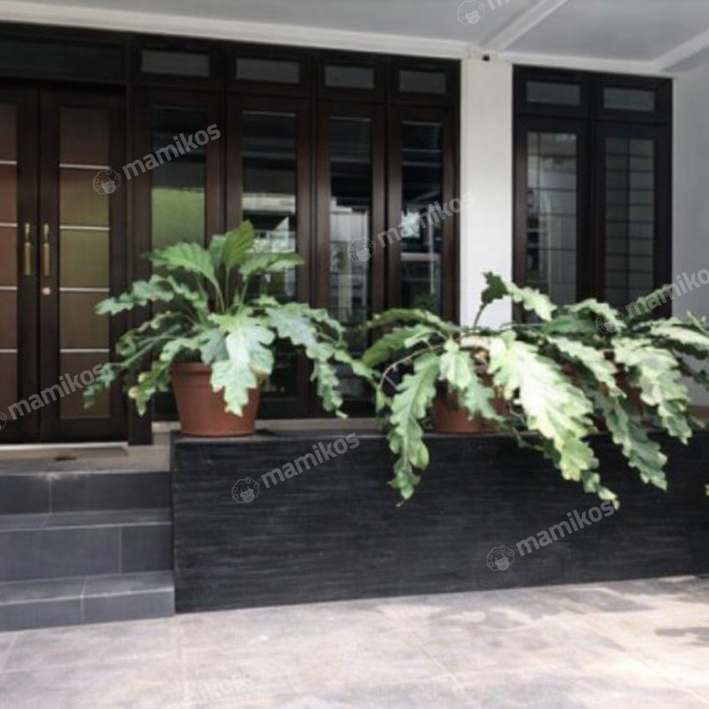 Rumah Sertifikat SHM 3 Kamar Tidur 3 Kamar Mandi Pondok Indah Jakarta Selatan - Photo 5