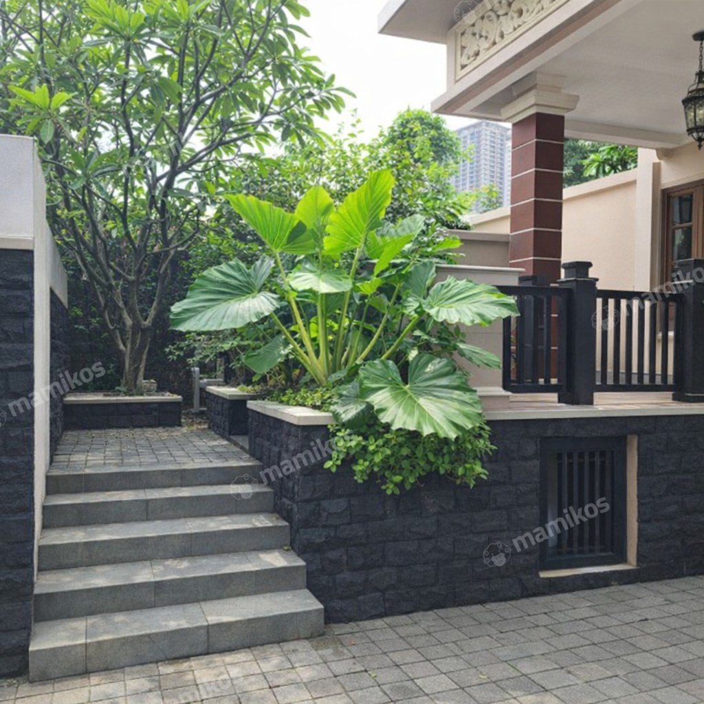 Rumah Sertifikat SHM 2 Lantai Pondok Pinang Jakarta Selatan - Photo 5
