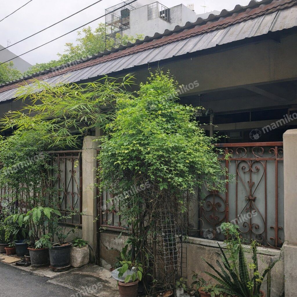 Rumah Sertifikat SHM 2 Kamar Tidur 2 Kamar Mandi Tanjung Duren Selatan Jakarta Barat - Photo 2