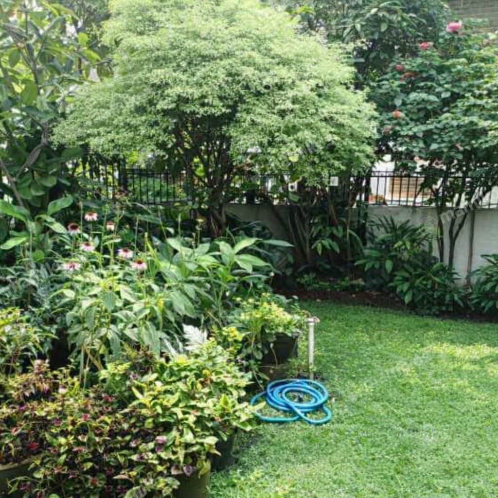 Rumah Sertifikat SHM 5 Kamar Tidur 4 Kamar Mandi Kebayoran Baru Jakarta Selatan - Photo 3