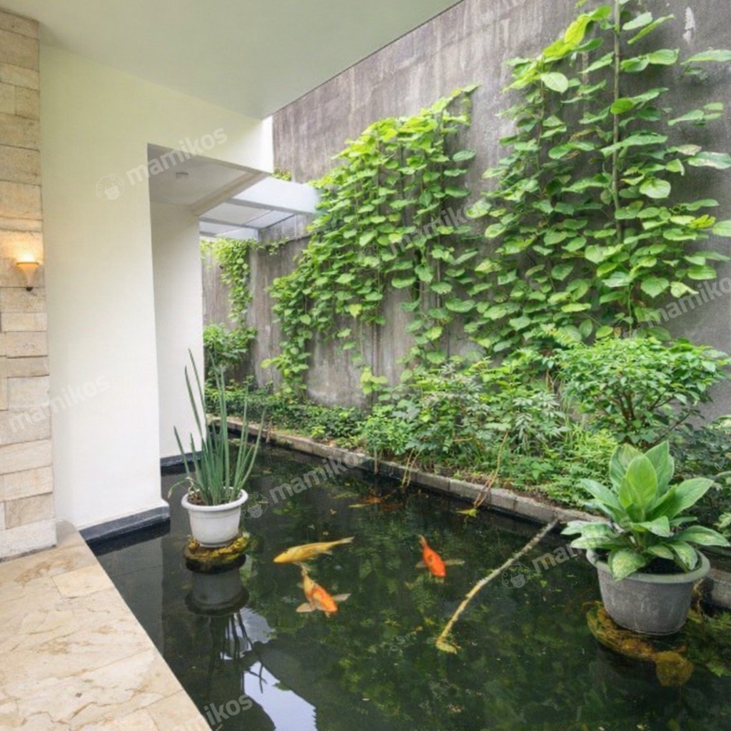 Rumah Sertifikat SHM 4 Kamar Tidur 4 Kamar Mandi Kemang Jakarta Selatan - Photo 4