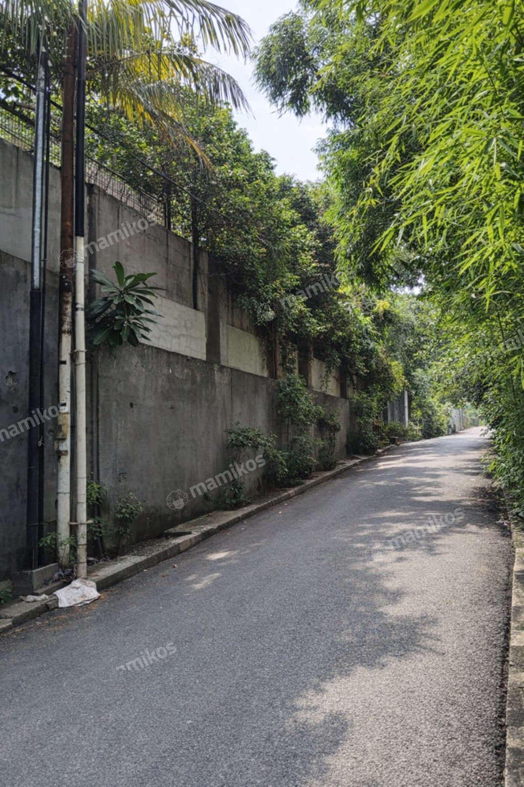 Rumah Sertifikat SHM 5 Kamar Tidur 4 Kamar Mandi Pondok Labu Jakarta Selatan - Photo 4