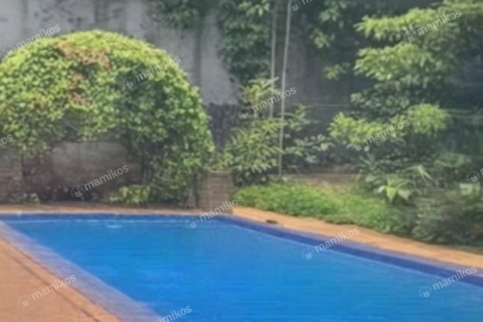 Rumah Sertifikat SHM 6 Kamar Tidur 5 Kamar Mandi Cilandak Jakarta Selatan