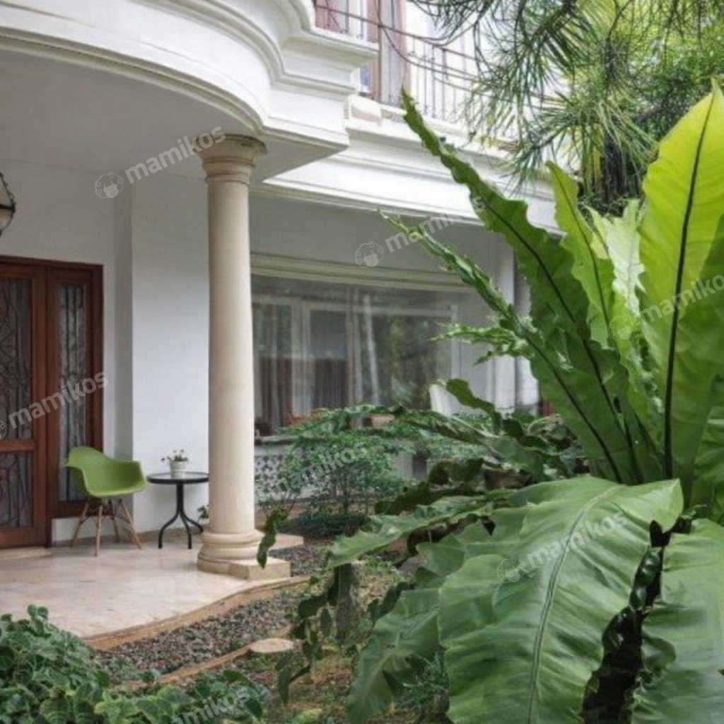 Rumah Sertifikat SHM 5 Kamar Tidur 5 Kamar Mandi Cilandak Jakarta Selatan