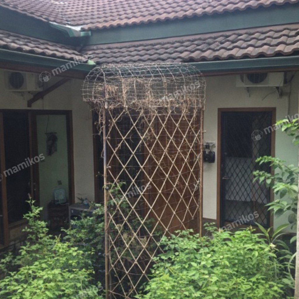 Rumah Sertifikat SHM 4 Kamar Tidur 3 Kamar Mandi Radio Dalam Jakarta Selatan - Photo 3