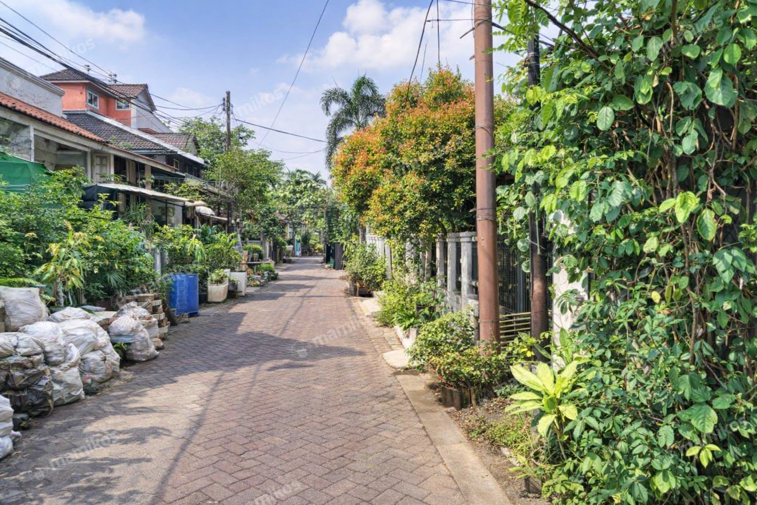 Rumah 3 Kamar Tidur 1 Kamar Mandi 1 Lantai Lebak Bulus Jakarta Selatan - Photo 3