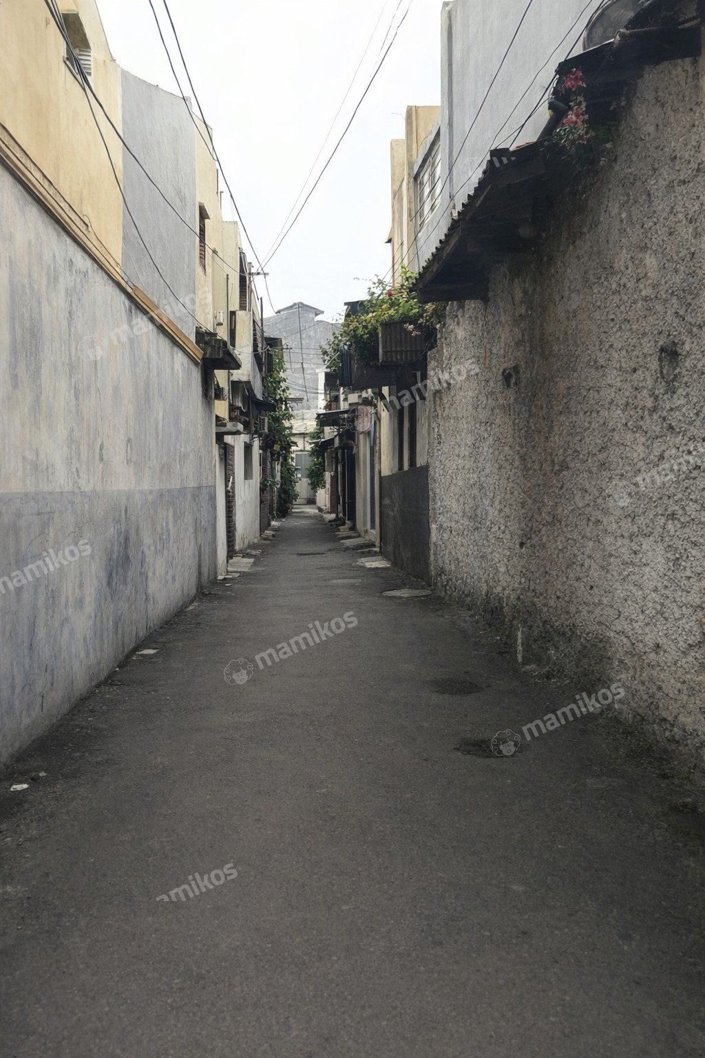 Rumah Sertifikat SHM 3 Kamar Tidur 1 Kamar Mandi Tanjung Duren Utara Jakarta Barat - Photo 3