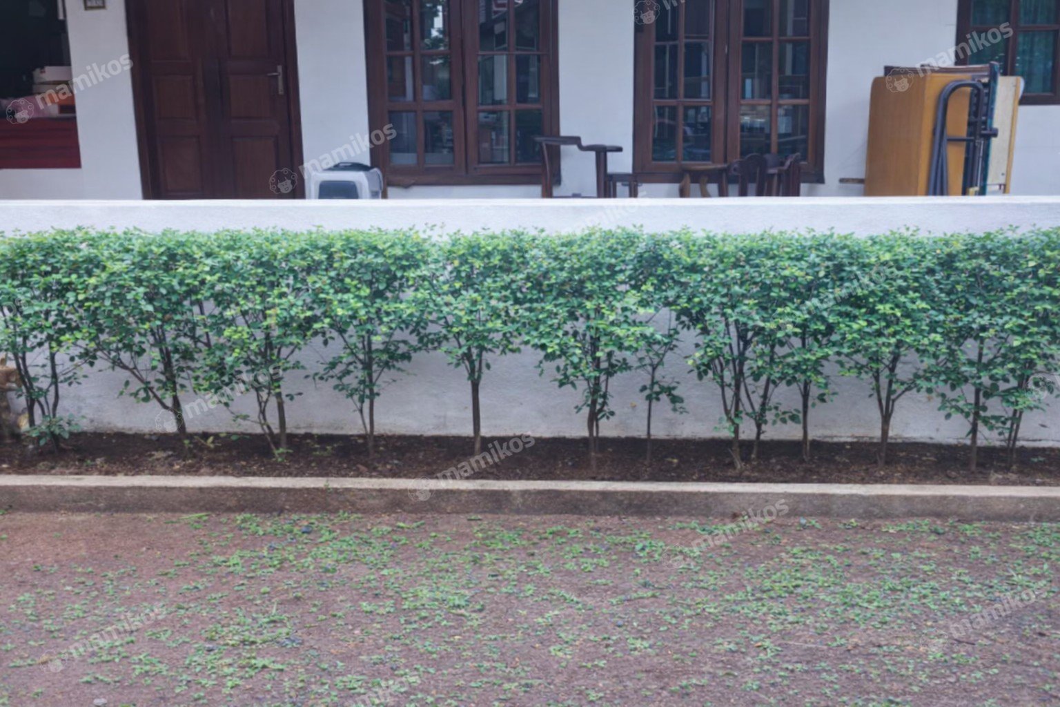 Rumah Sertifikat SHM 3 Kamar Tidur 3 Kamar Mandi Kebayoran Baru Jakarta Selatan - Photo 5