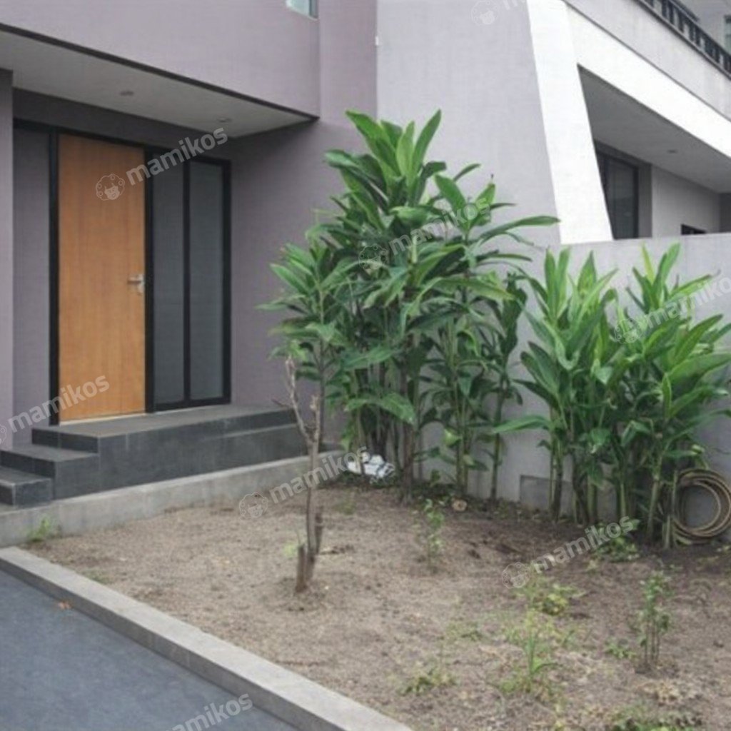 Rumah Sertifikat SHM 4 Kamar Tidur 4 Kamar Mandi Kalideres Jakarta Barat - Photo 4