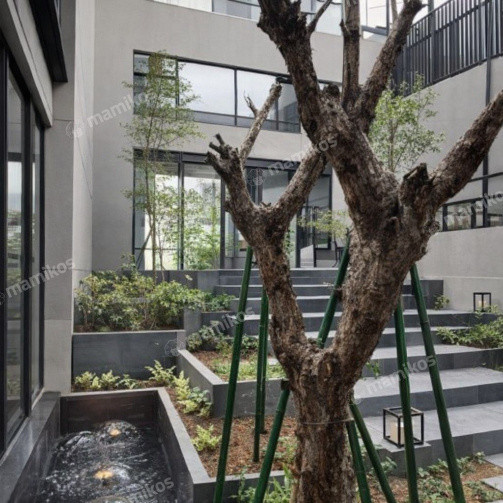 Rumah Sertifikat SHM 6 Kamar Tidur 6 Kamar Mandi Bintaro Jakarta Selatan - Photo 4