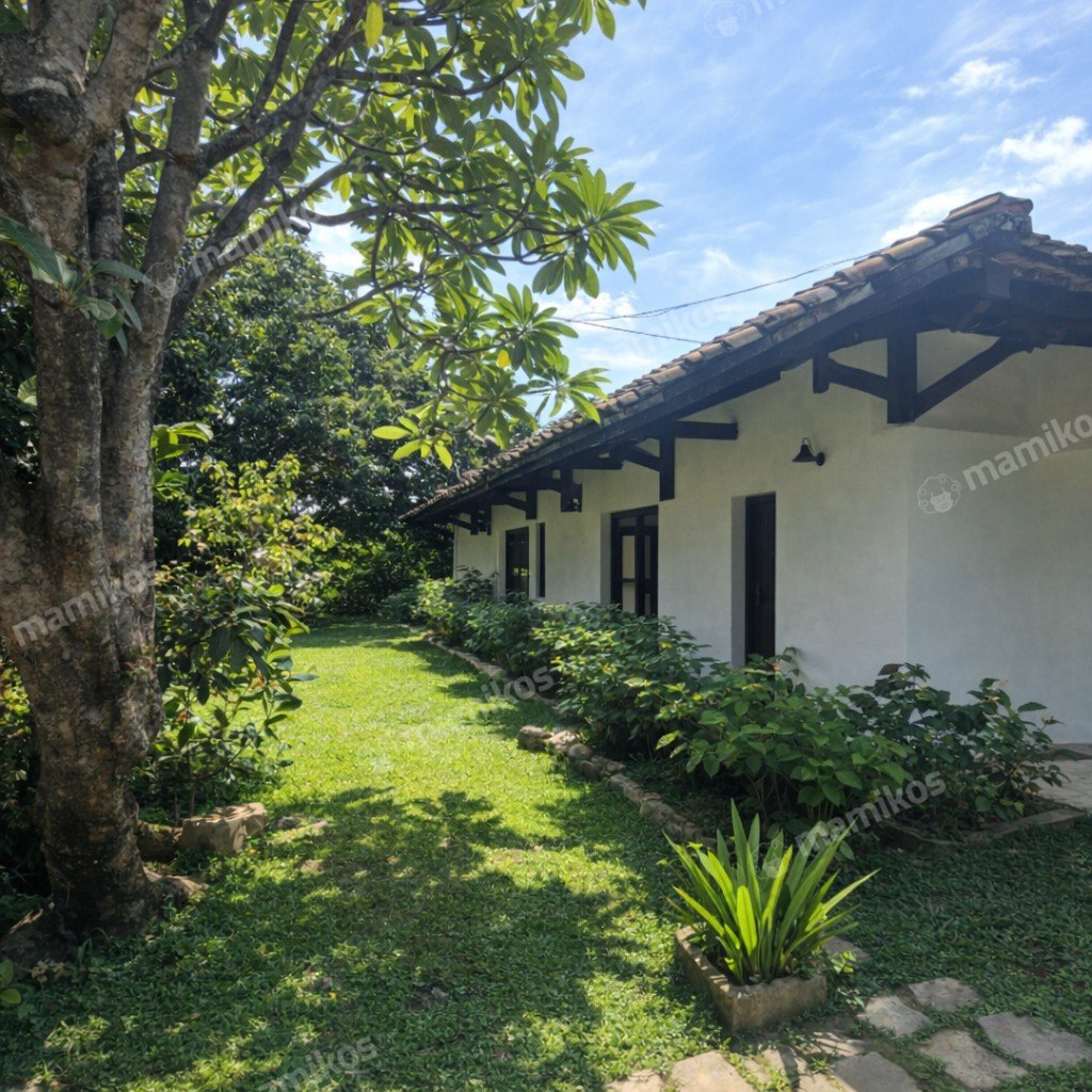 Rumah Sertifikat SHM 3 Kamar Tidur 2 Kamar Mandi Cipete Jakarta Selatan - Photo 5