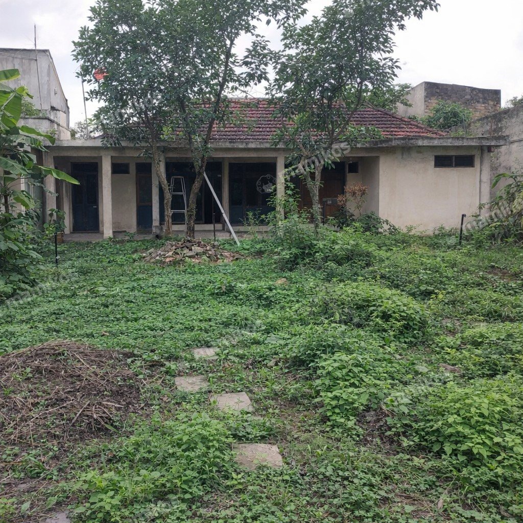 Rumah Sertifikat SHM 4 Kamar Tidur 5 Kamar Mandi Kemang Jakarta Selatan - Photo 4