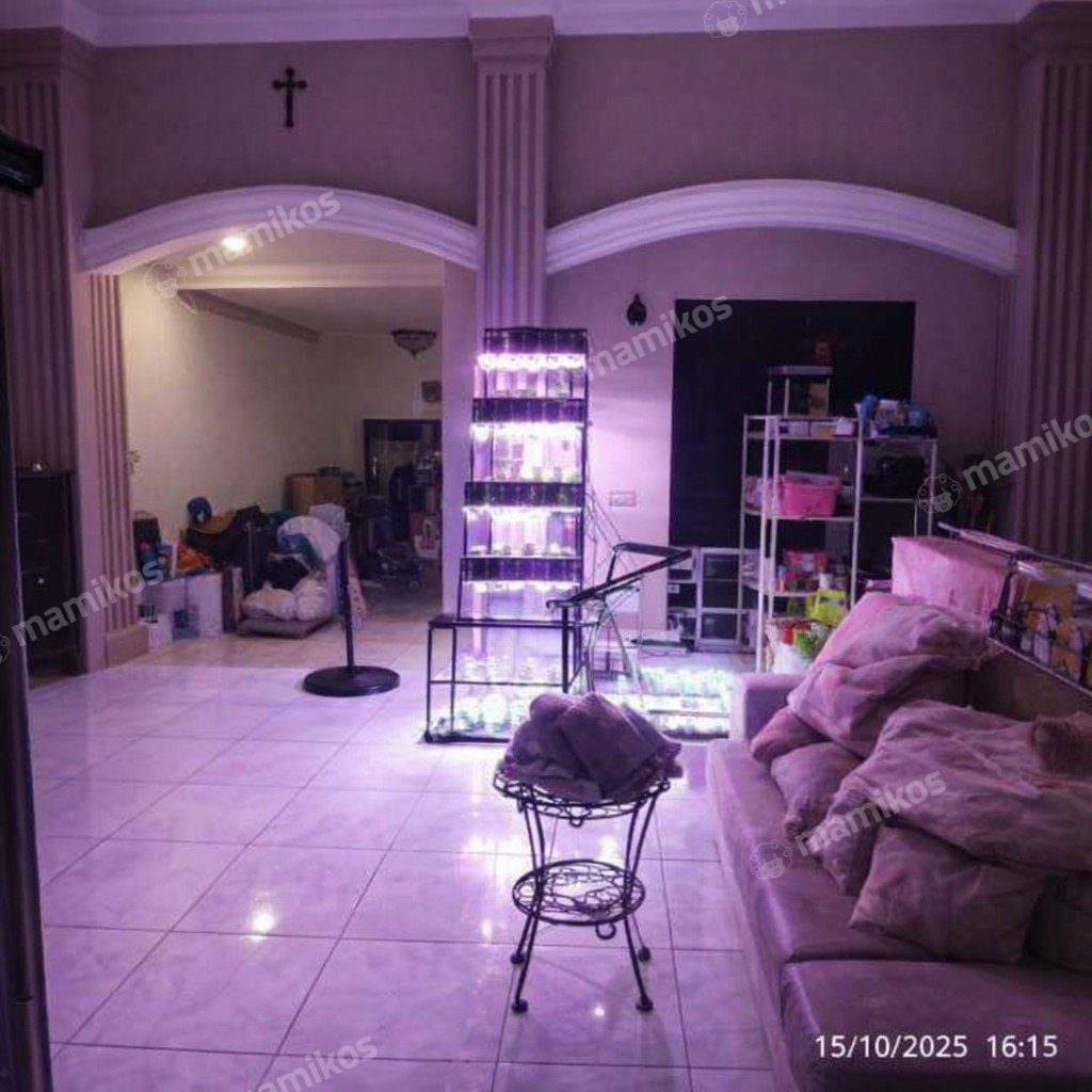Rumah 4 Kamar Tidur 2 Kamar Mandi 2 Lantai Cengkareng Jakarta Barat - Photo 3