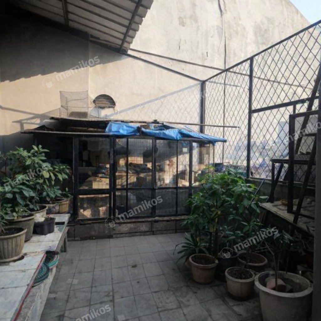Rumah 4 Kamar Tidur 2 Kamar Mandi 2 Lantai Cengkareng Jakarta Barat - Photo 5