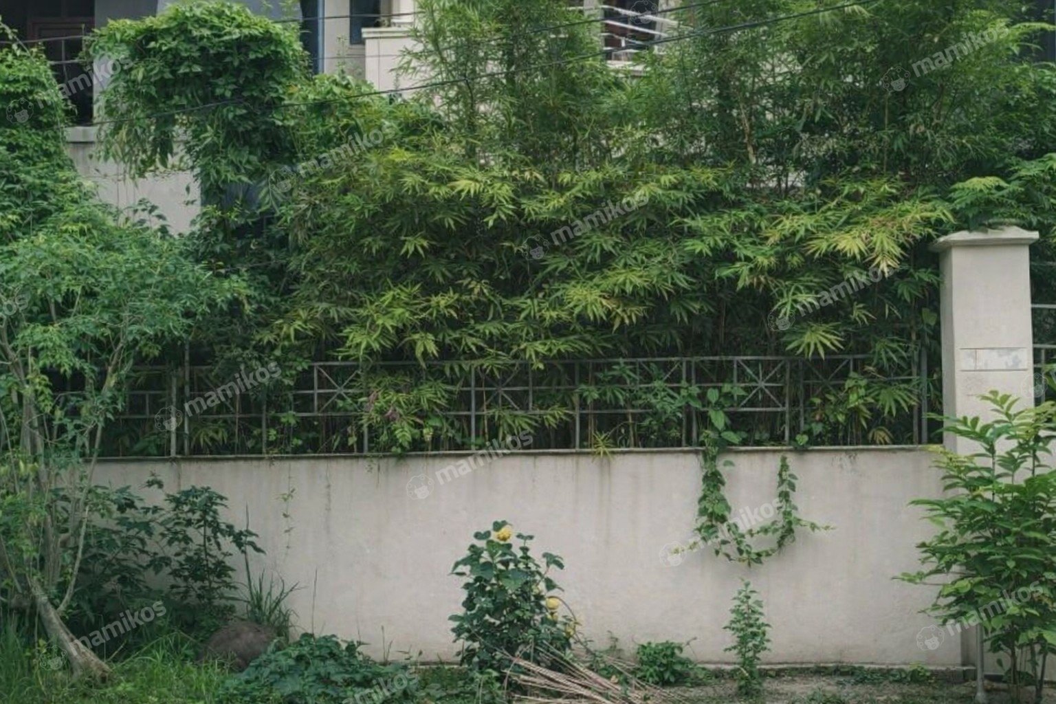 Rumah Sertifikat SHM 5 Kamar Tidur 4 Kamar Mandi Kedoya Selatan Jakarta Barat