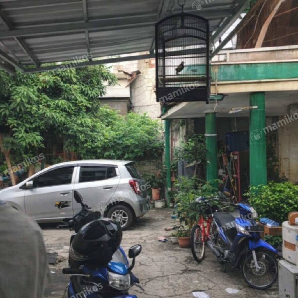 Rumah Sertifikat SHM 4 Kamar Tidur 2 Kamar Mandi Cijantung Jakarta Timur - Photo 4
