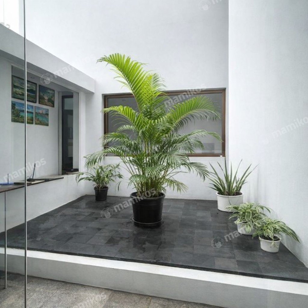 Rumah Sertifikat SHM 3 Kamar Tidur 4 Kamar Mandi Permata Buana Jakarta Barat - Photo 3
